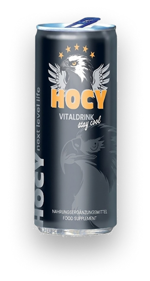 HocyVital Drink 250 ml